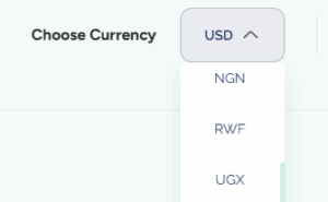 Select currency option on Serlzo before proceeding with payment