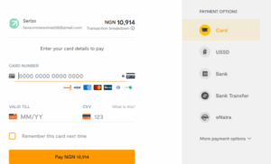 Serlzo payment methods including card, Bank, Bank Transfer, and USSD